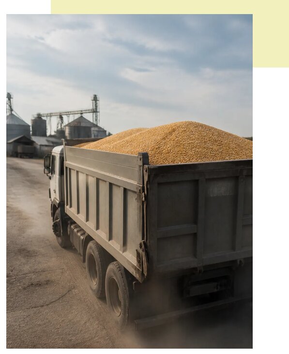 Перевозка сельхозпродукции навалом в Коркино по цене от 3114 р. | Агросервис-Крк